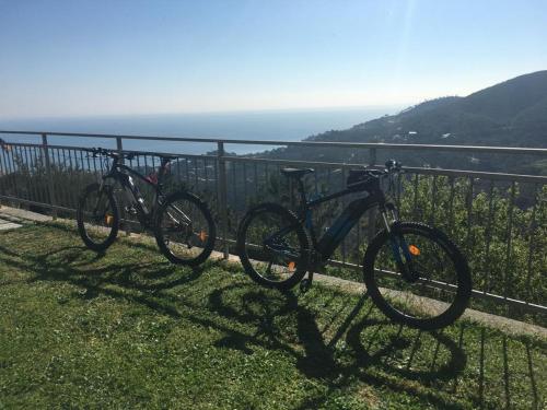AnteMARE, Noli (foto 5)