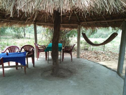 Dotări, Chital lodge in Meghauli