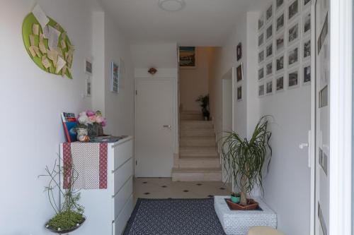 Apartments Lile 3