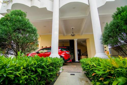 Vivid Colombo - image 2