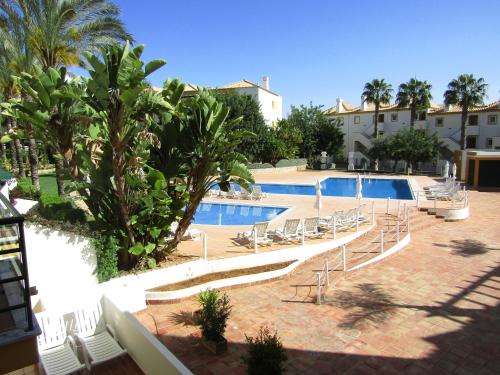  Papoilas in Tavira