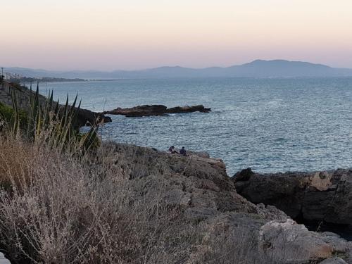 JARDINES DEL MAR I APTO 298 OROPESA DEL MAR MARINA DOR