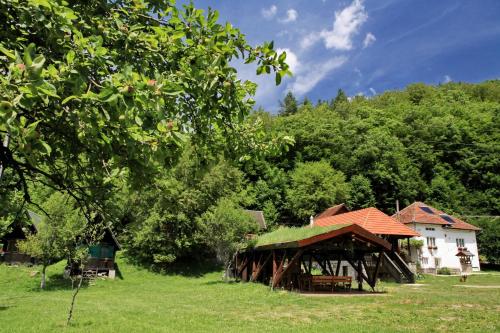Pensiunea Dacica - image 6