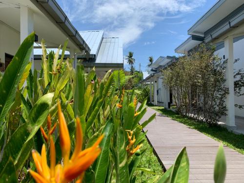 Exterior view, Cloud9 Holiday Cottages in Mukim Kedawang