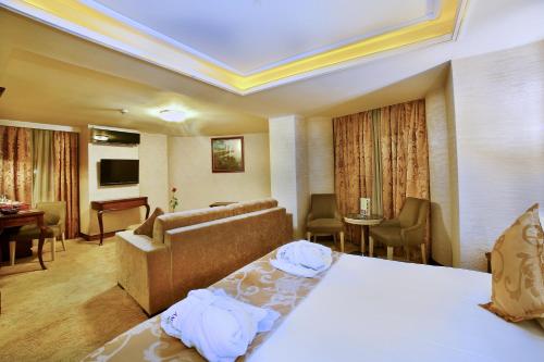 Amethyst Hotel İstanbul Old City, Istanbul (fotografie 6)