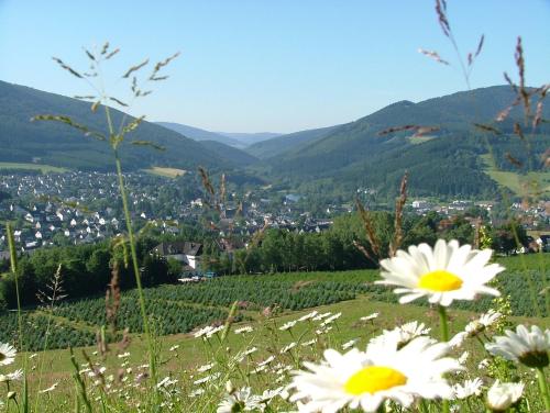 Hotel-Restaurant Schettel - image 5