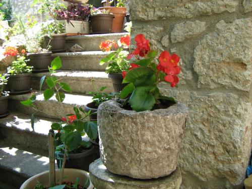  Cozy apartment studio in the old town for 2 persons Novi Vinodolski in Novi Vinodolski