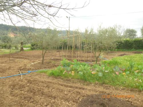  Quinta dos Templários in Ferreira do Zêzere