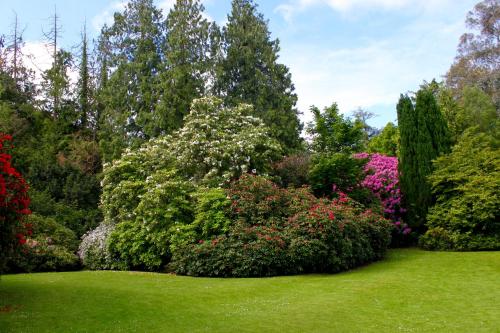 Maryborough Hotel & Spa - image 3