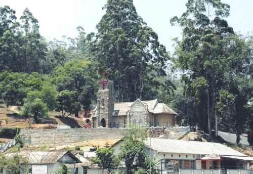 Red sparrow in Pothamedu