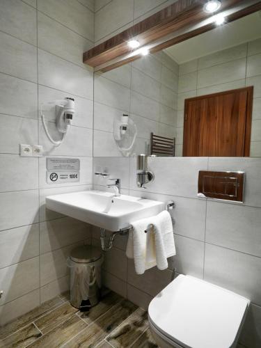 Hotel Viktor - image 12
