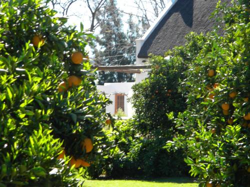 Klein Boschkloof Chalets photo 3