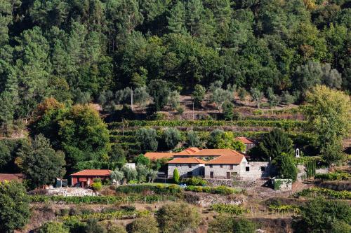 Quinta da Pousadela - Agroturismo