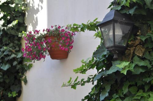 Apartment Residence - Free Parking - image 4