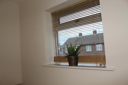 Depedale House - image 4
