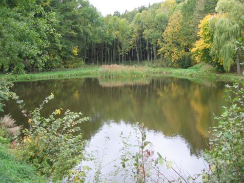 Bauernhof Familie Tauber-Scheidl - image 11