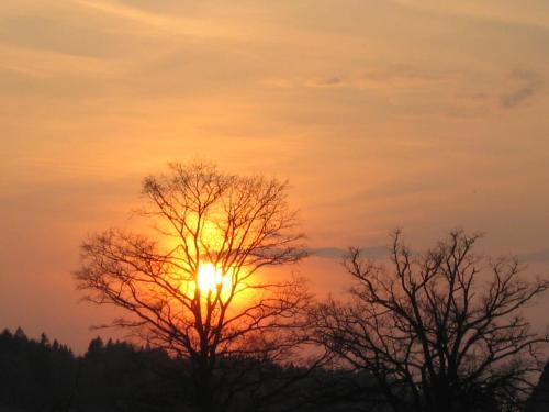 Bauernhof Familie Tauber-Scheidl - image 4