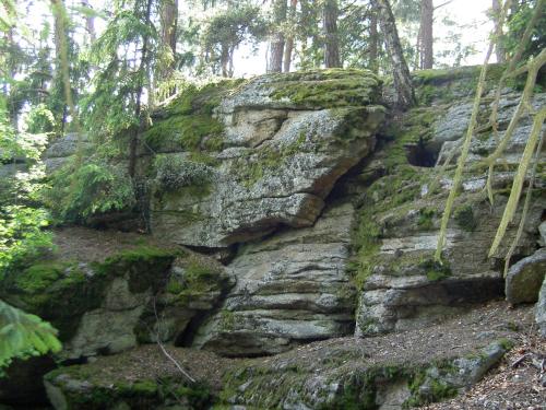 Bauernhof Familie Tauber-Scheidl - image 2