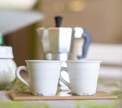  Il Sopracciglio Suites - Green Suite in Cassino