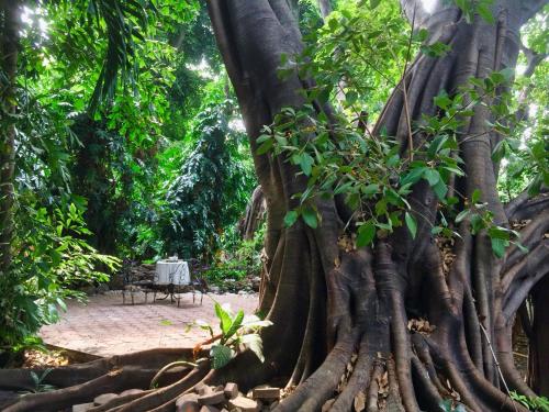 Cozycomo Bangkok ( Cozycomo Bangkok )