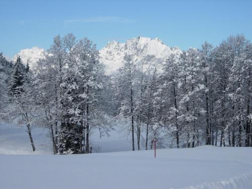 Biobauernhof Mittermoos - image 5