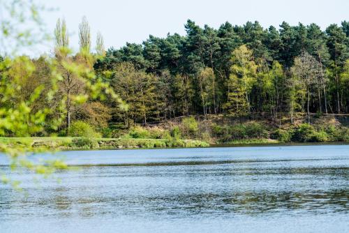 Waldhotel Schipp-Hummert - image 4