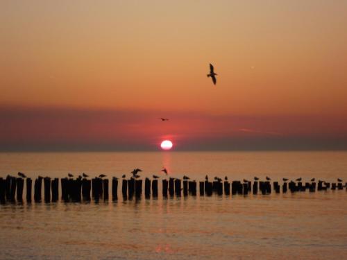 View, Prachtige Vakantiewoning dichtbij bos en strand OK22 in Oostkapelle