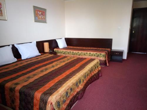 Hotel Elena - image 4