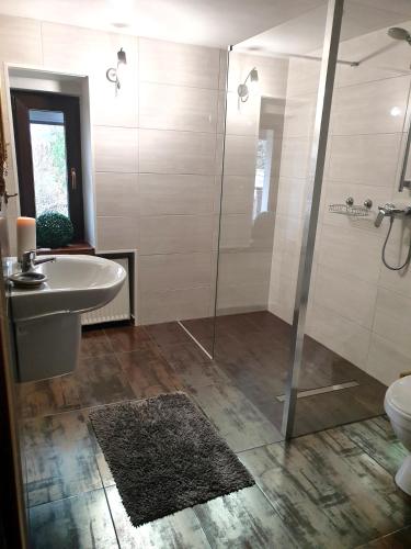 Apartamenty i Pokoje Aneta, Szklarska Poręba (foto 10)