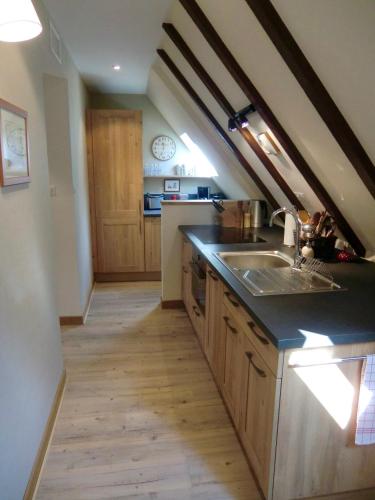 廚房, Gîte FLEUR DE VIGNES (Gite FLEUR DE VIGNES) in 伊特斯維勒