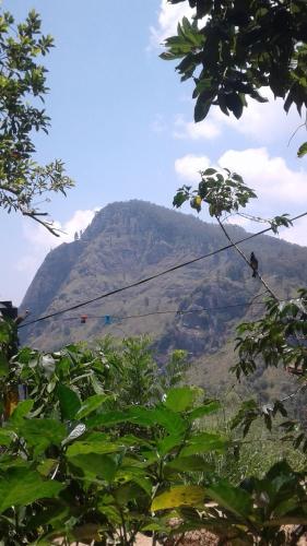 Jaye Homestay - image 4