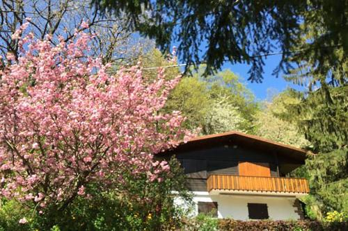 Chez Mamie Gateau In Dabo France Reviews Prices Planet Of Hotels Chez Mamie Gateau In Dabo France Reviews Prices Planet Of Hotels
