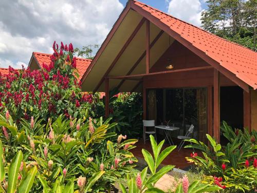 Hotel Villas Vista Arenal, Fortuna