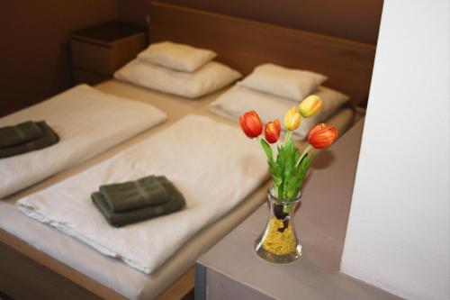 Polus Pension - Accommodation - Sopron