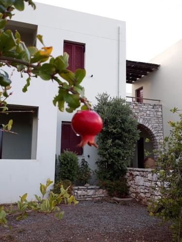  Vilana Studios, Pension in Kálamos Kythira bei Potamós