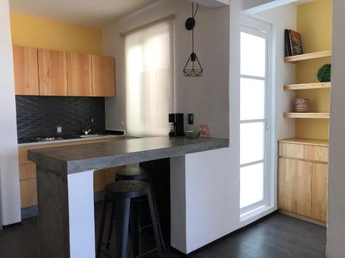 오악사카 Casa Maye 3성급 게스트하우스 부대시설