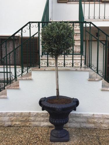 Paradise Suites - image 6