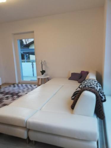 Gemütliches 3 Zimmer Apartment nahe Graz