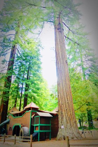 Redwoods River Resort & Campground Redwoods River Resort & Campground