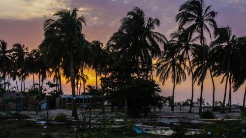 Playa Samara Hostel