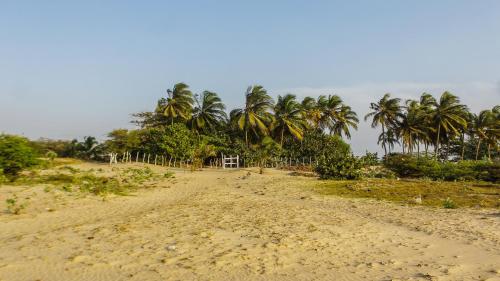 Playa Samara Hostel