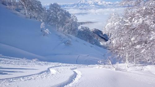 Nozawa Dream Central - Accommodation - Nozawa Onsen