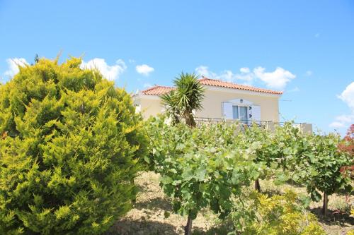  ORFANOS 2 in Armenoí