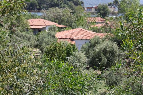 NIKOS, Kakóvatos (photo 8)