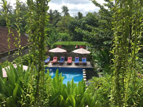 Deluxe Double or Twin Room with Pool View image 8
