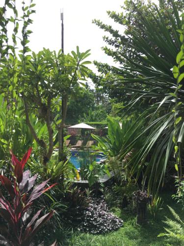 Saka Boutique Hotel - Tap to explore photos