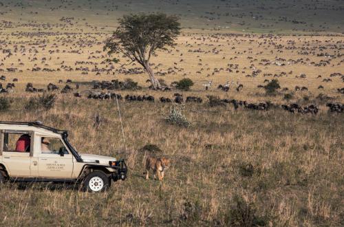 Sarova Mara Game Camp