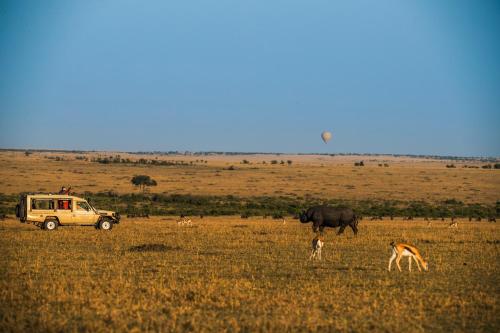 Sarova Mara Game Camp