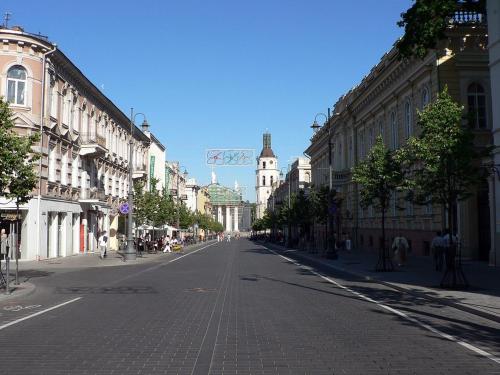 Downtown apartment in Vilnius str.