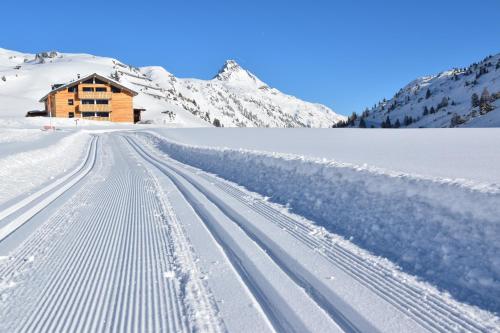 apart-wolf-arlberg - image 2